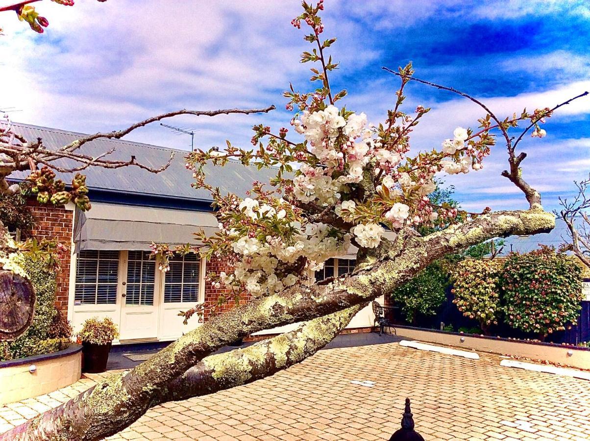 Kurrajong House Bed & Breakfast Launceston Eksteriør bilde