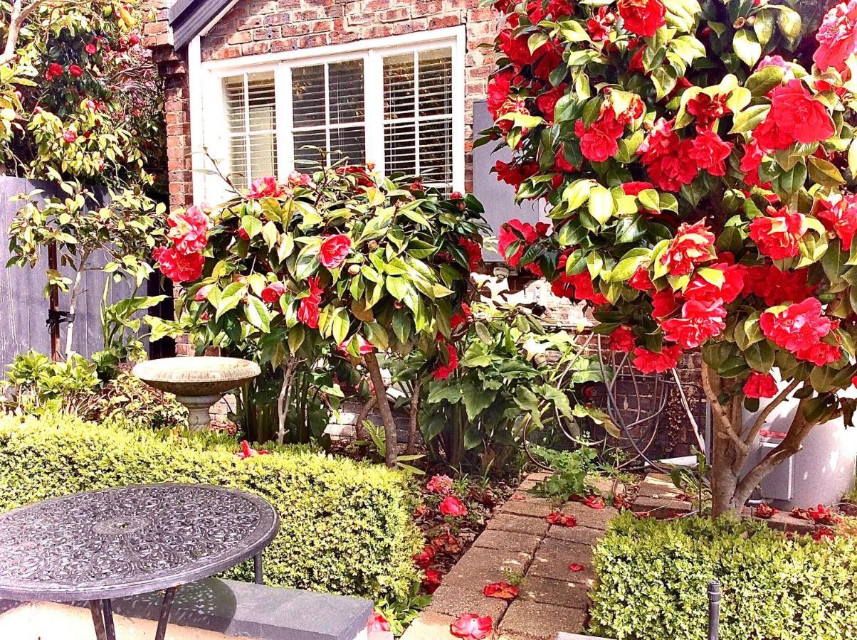 Kurrajong House Bed & Breakfast Launceston Eksteriør bilde